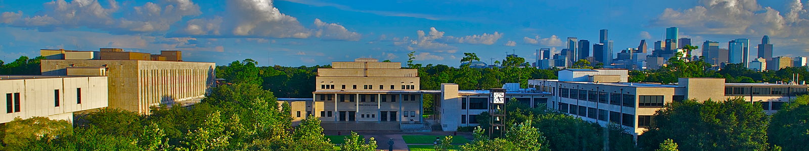 德克萨斯南方大学 is a small urban campus